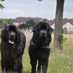 Balthasar und Charly (v.li.)